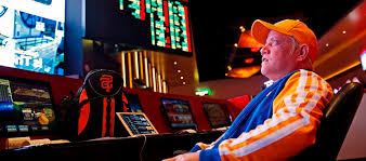 Онлайн казино Casino Zooma